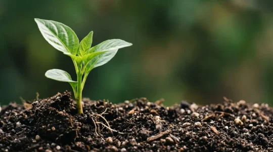 Stratégie environnementale intégrée à la croissance d'entreprise